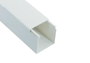 Trunking 100×100